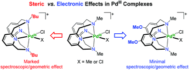 Graphical abstract: Electronic versus steric effects of pyridinophane ligands on Pd(iii) complexes