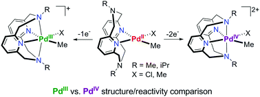 Graphical abstract: Structural and reactivity comparison of analogous organometallic Pd(iii) and Pd(iv) complexes