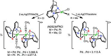 Graphical abstract: Unsupported d8–d8 interactions in cationic PdII and PtII complexes: evidence for a significant metal–metal bonding character