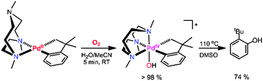 Graphical abstract: Dioxygen activation by an organometallic Pd(ii) precursor: formation of a Pd(iv)–OH complex and its C–O bond formation reactivity