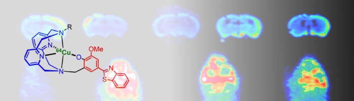 alzheimers, mice, imaging, brain, fluorescence, pet